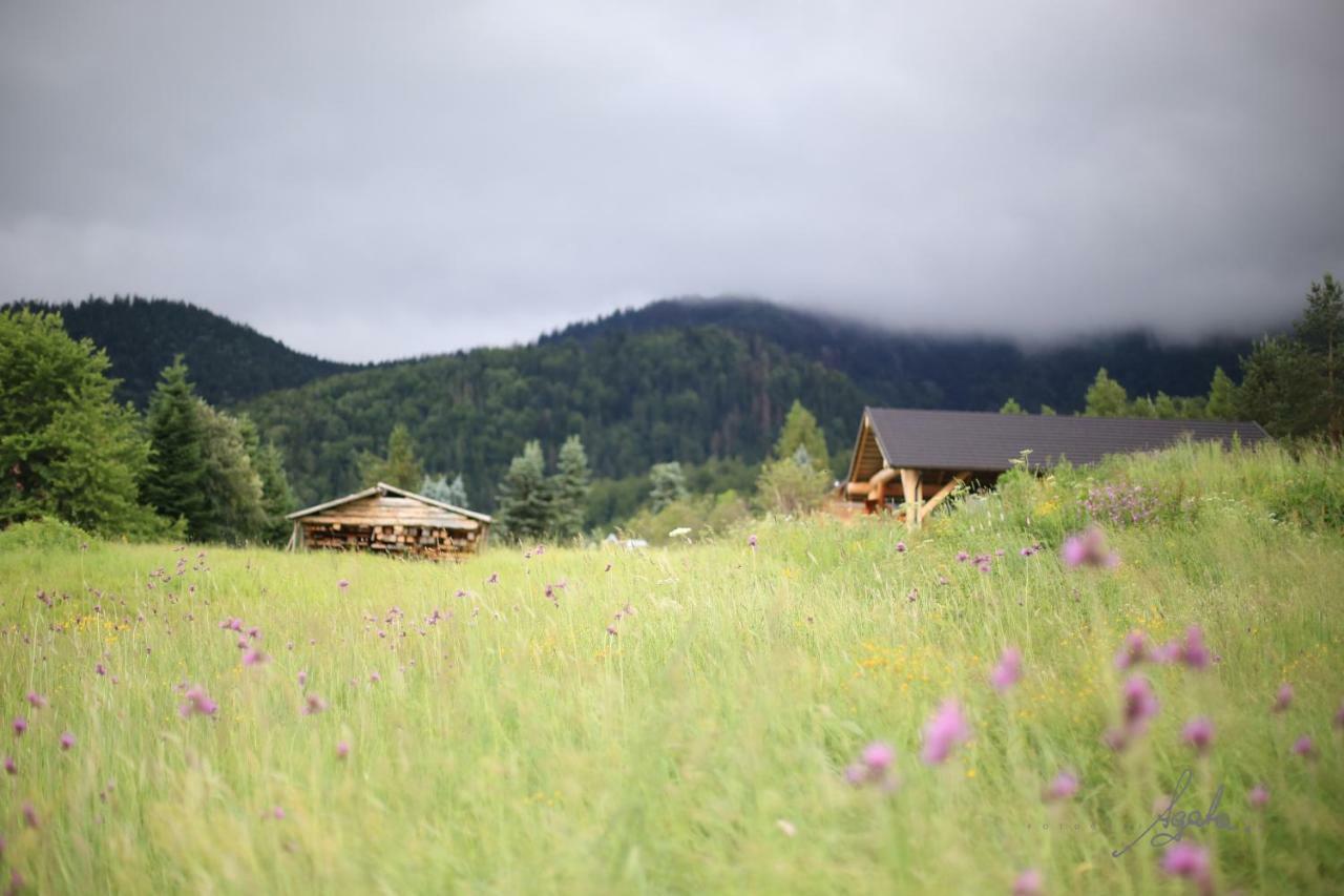 Apartament Krolewski Superior Z Sauna Zakopane Exterior foto